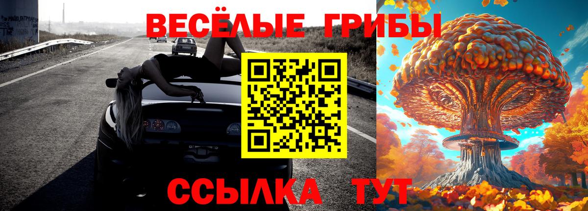 Великие Луки  Псилоцибиновые грибы GOLDEN TEACHER  Вход с VPN  Галлюциногенные грибы мухоморы 