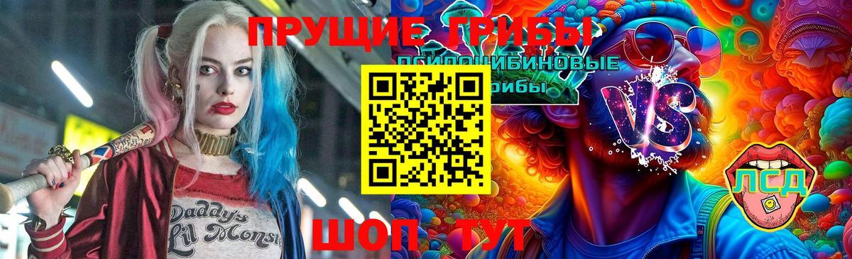 Псилоцибиновые грибы прущие грибы Великие Луки